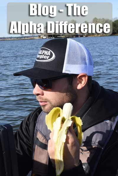 Blog - The Alpha Difference